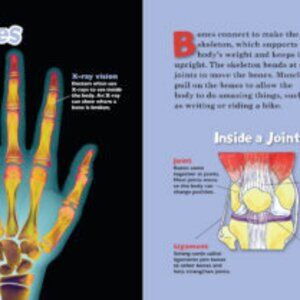 The Magic School Bus The Human Body-BRAND NEW, Last ONE